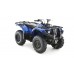 Grizzly 450 Grizzly 450